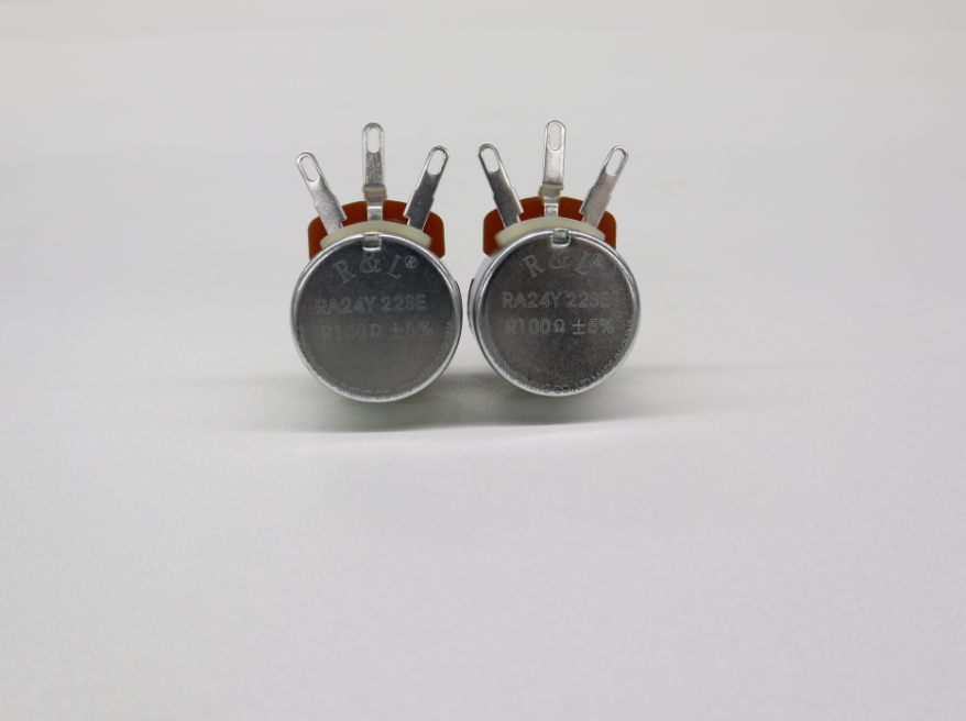 RA24Y-22SE-100Ω